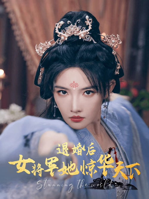 退婚后女将军她惊华天下 poster