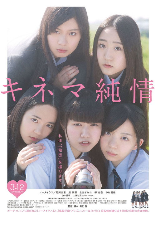 Movie poster for Devotion to Cinema (2016)