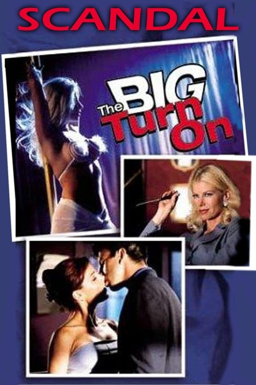 Movie poster for Scandal: The Big Turn On (2001)
