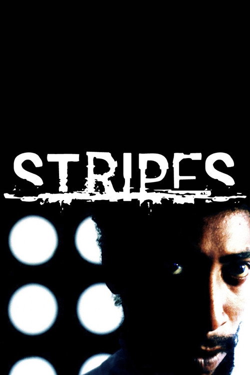 Movie poster for Stripes (2005)