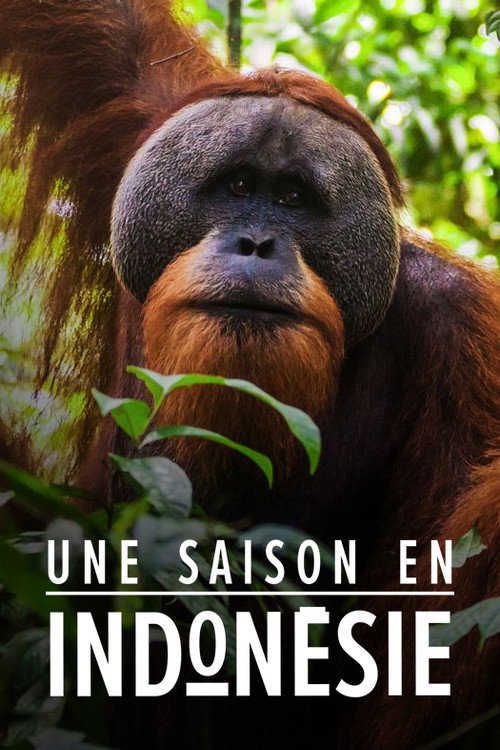Series poster for Une saison en Indonésie (2019)