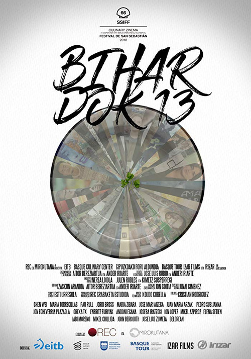 Movie poster for Bihar dok 13 (2018)