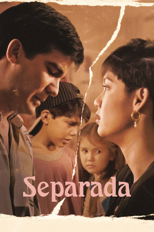 Movie poster for A Separated Woman (1994)