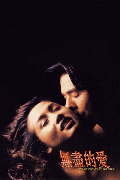 Movie poster for The Never Ending Love Story (1994)