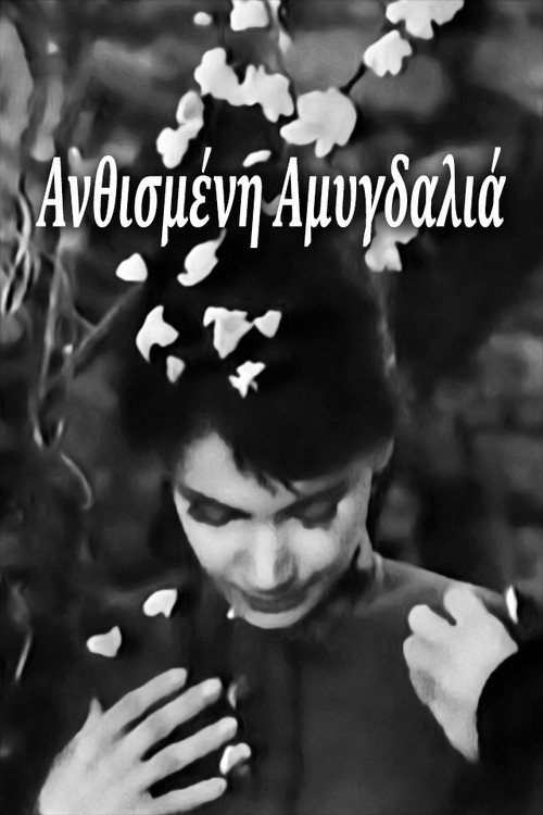 Movie poster for Blossoming Almond Tree (1959)