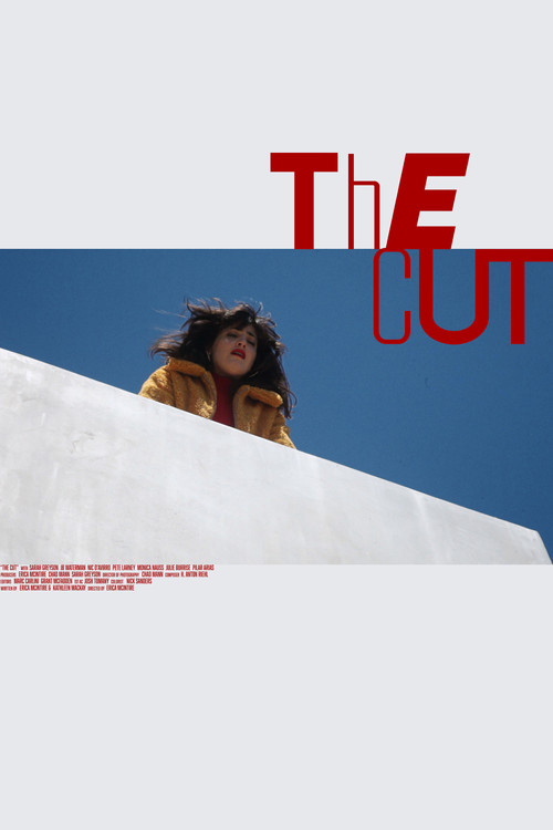 Movie poster for The Cut