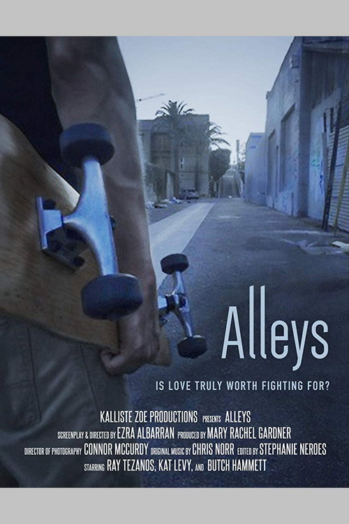 Movie poster for Alleys (2017)
