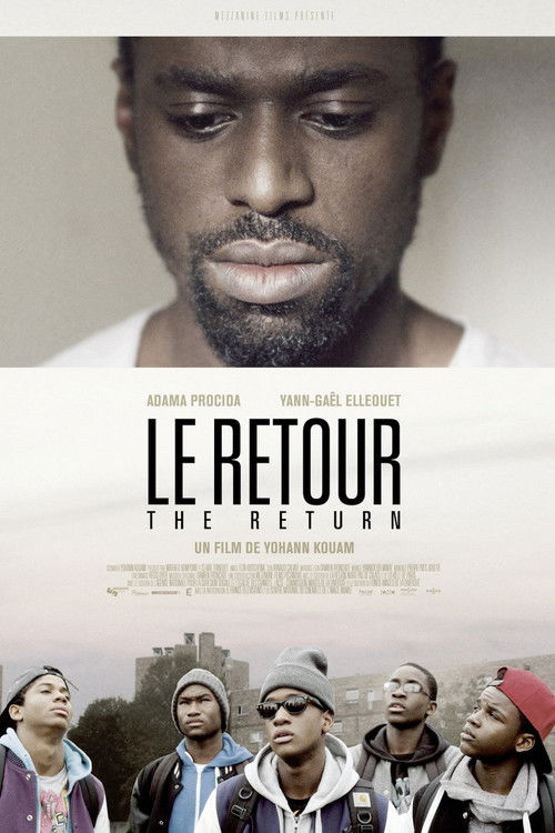 Movie poster for The Return (2014)