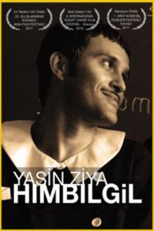 Movie poster for The Postmodern Existence of Hımbılgil (2011)