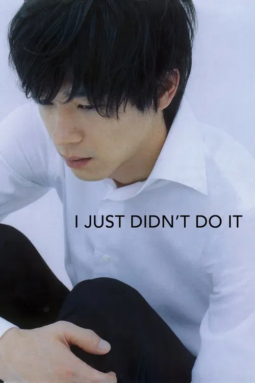 Movie poster for I Just Didn't Do It (2007)