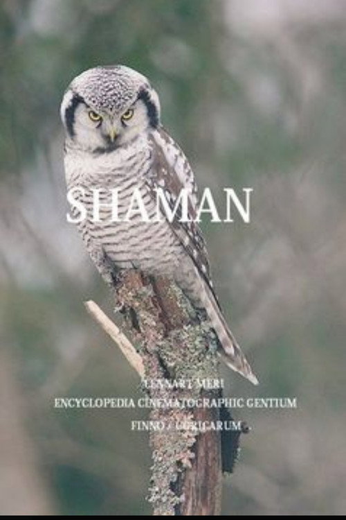 Movie poster for The Shaman (1997)