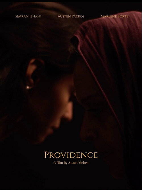 Movie poster for Providence (2023)