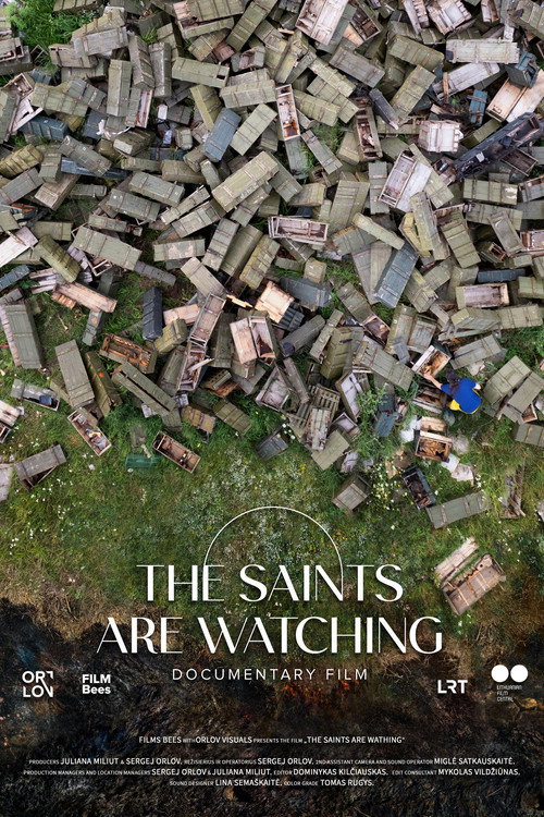 Movie poster for The Saints Are Watching (2024)