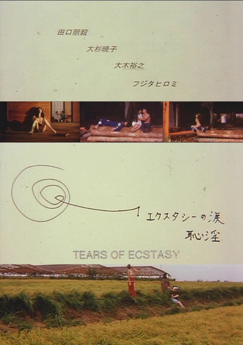 Movie poster for Tears of Ecstasy (1995)
