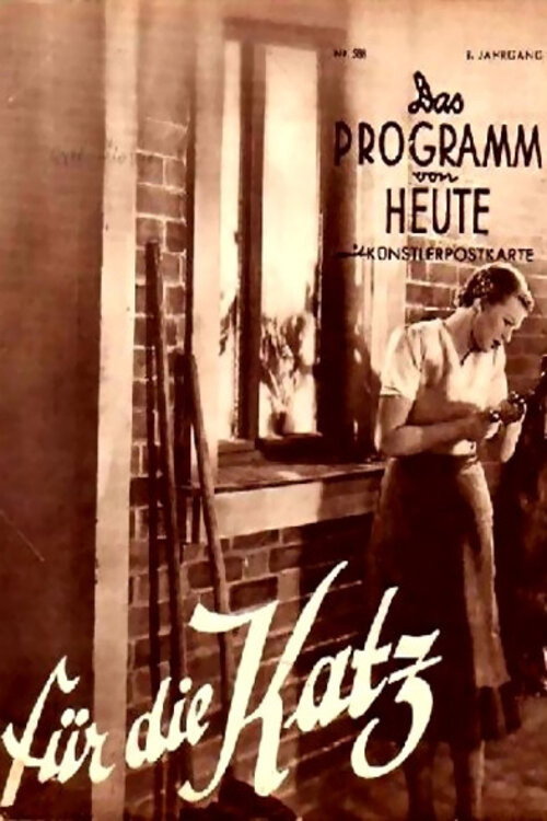 Movie poster for Für die Katz' (1940)