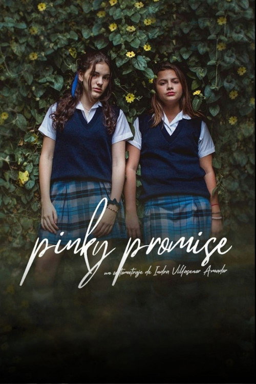 Movie poster for Pinky Promise (2020)