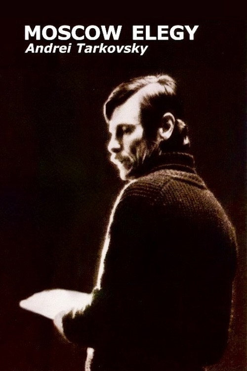Movie poster for Moscow Elegy (1987)
