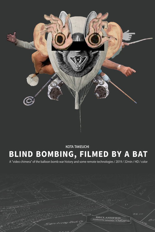 Movie poster for Blind Bombing, Filmed by a Bat (2020)