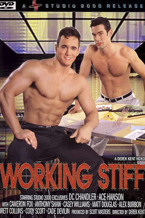 Movie poster for Working Stiff (2002)