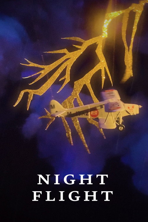 Movie poster for Night Flight (2020)