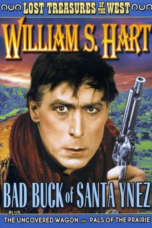 Movie poster for Bad Buck of Santa Ynez (1915)