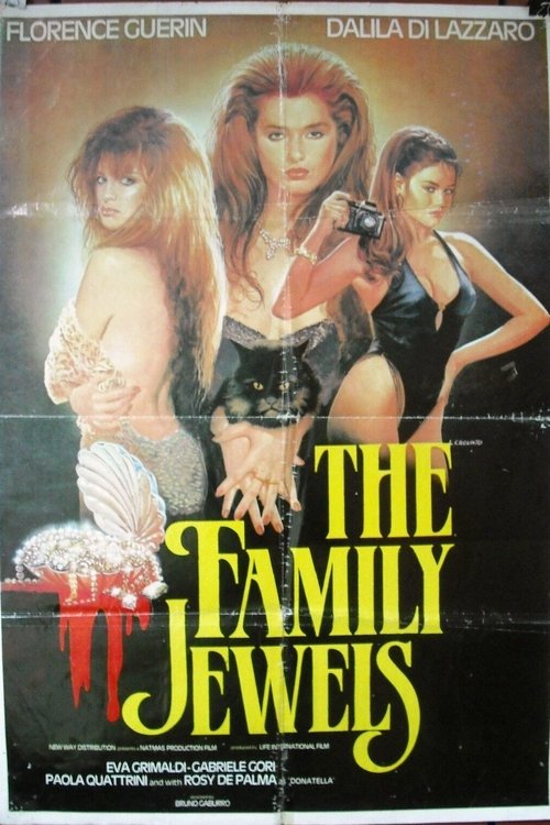Movie poster for The Family Jewels (1991)