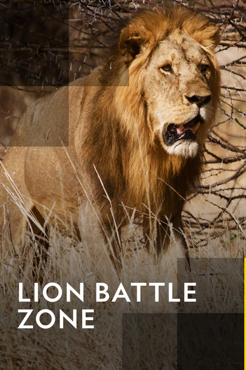 Movie poster for Lion Battle Zone (2012)