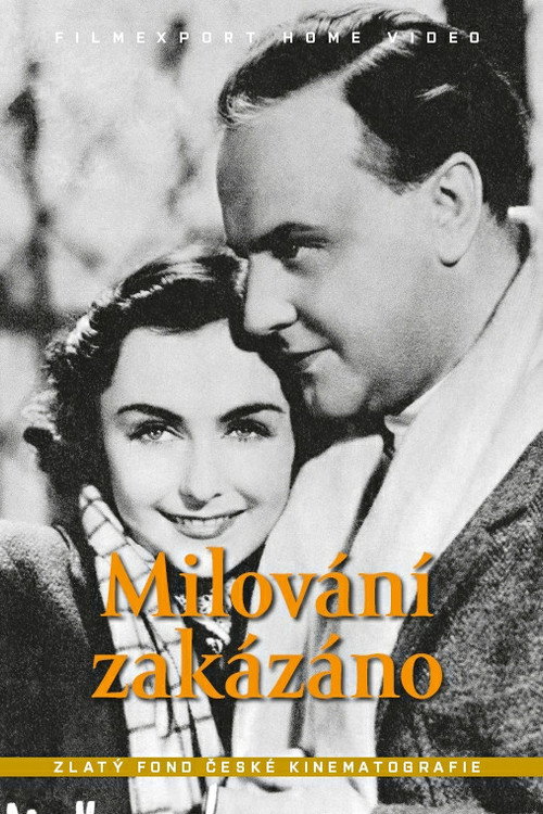 Movie poster for Milování zakázáno (1938)