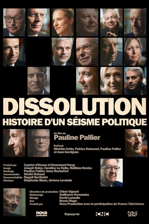 Movie poster for Dissolution, histoire d'un séisme politique (2024)