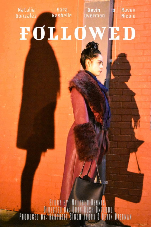 Movie poster for Followed (2024)