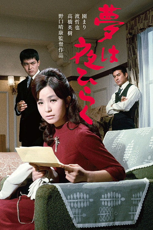 Movie poster for Dreams Come True at Night (1967)