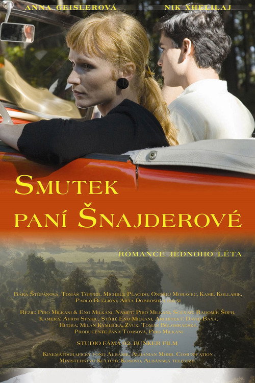 Movie poster for The Sorrow of Mrs. Schneider (2008)