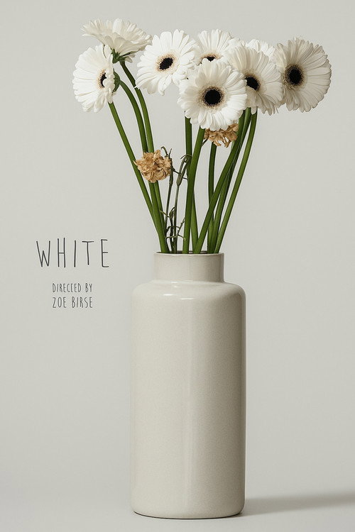 Movie poster for White (2022)