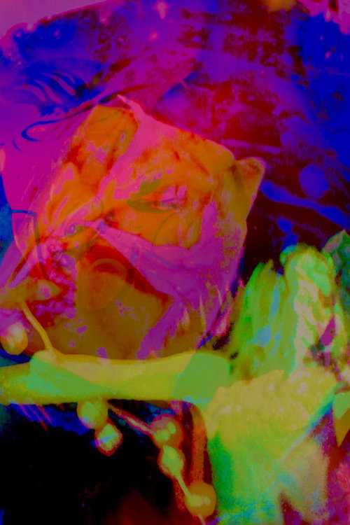 Movie poster for Hannah's Psycho-delic Adventure