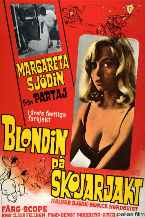 Movie poster for Den vilda jakten på likbilen (1969)