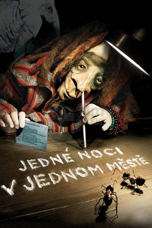 Movie poster for One Night in One City (2007)