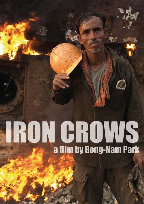 Movie poster for Iron Crows (2011)