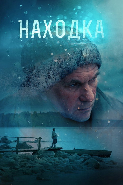 Movie poster for The Find (2015)