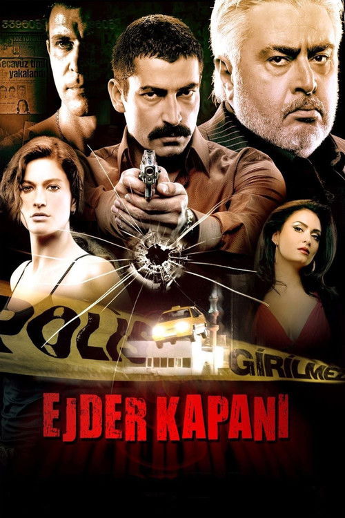 Movie poster for Dragon Trap (2010)