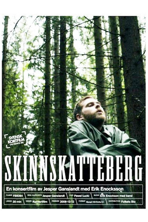 Movie poster for Skinnskatteberg (2008)