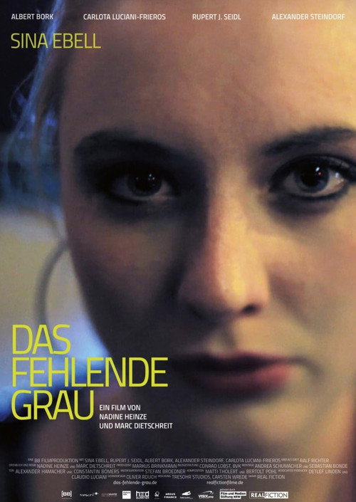 Movie poster for Das fehlende Grau (2015)