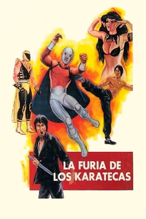 Movie poster for The Fury of the Karate Experts (1982)