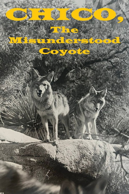 Movie poster for Chico, the Misunderstood Coyote (1961)