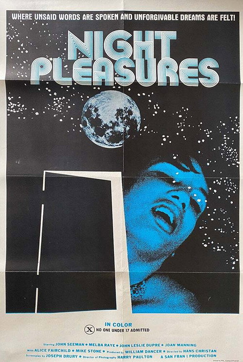 Movie poster for Night Pleasures (1976)