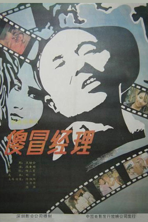 Movie poster for The Silly Manager (1988)