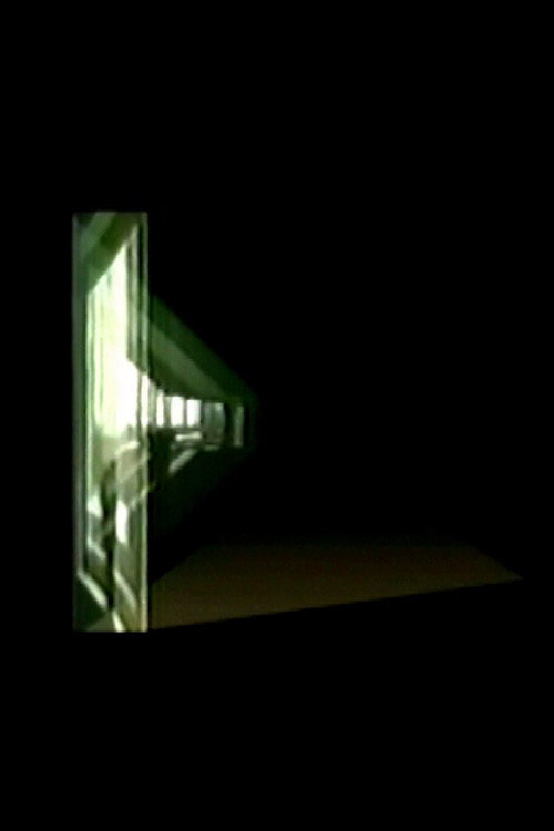 Movie poster for The Window (1997)