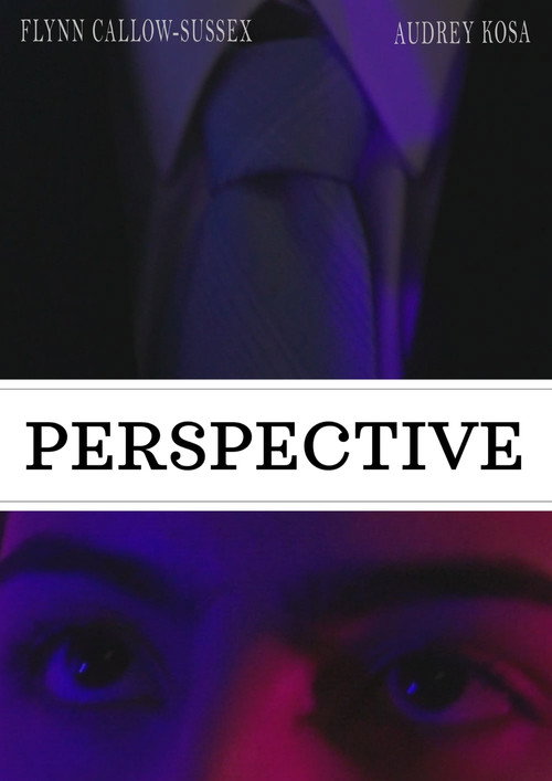 Movie poster for Perspective (2025)