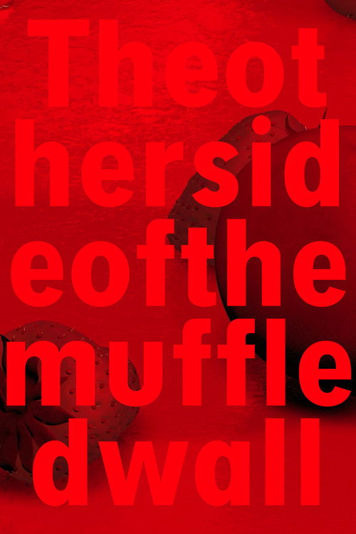 Movie poster for Theothersideofthemuffledwall (2015)
