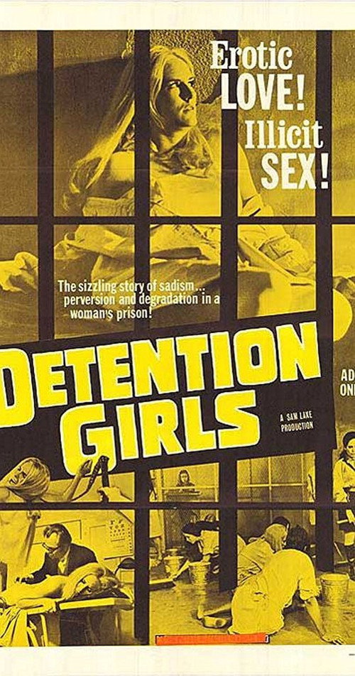 Movie poster for The Detention Girls (1969)