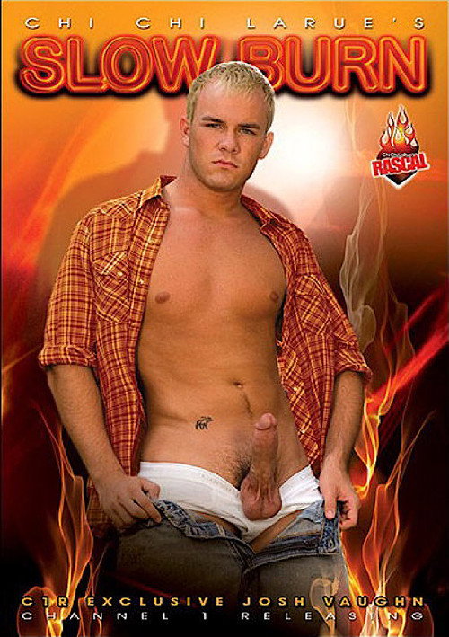 Movie poster for Slow Burn (2009)